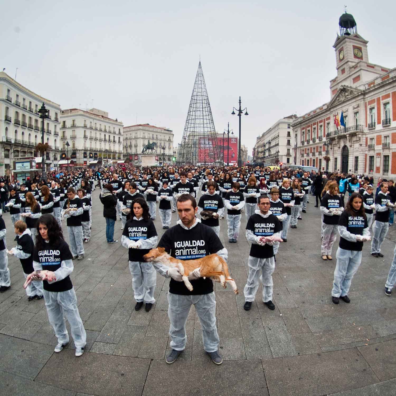 animal rights day Madrid
