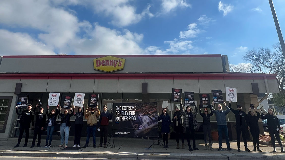 Dennys Protest in Chicago November