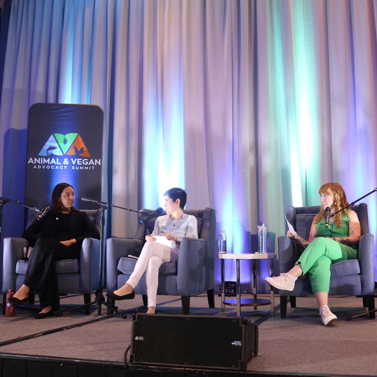 Sharon at live podcast during 2024 AVA Summit