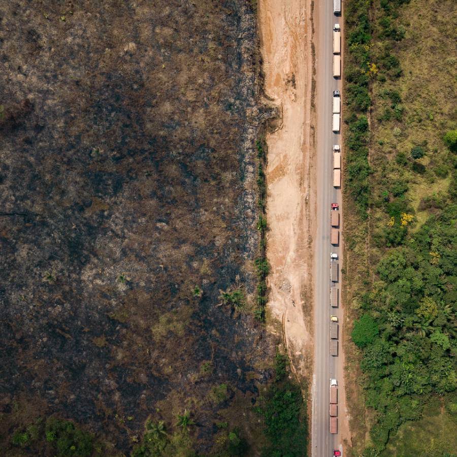 Plant,Road surface,Asphalt,Vegetation,Land lot,Grass,Thoroughfare