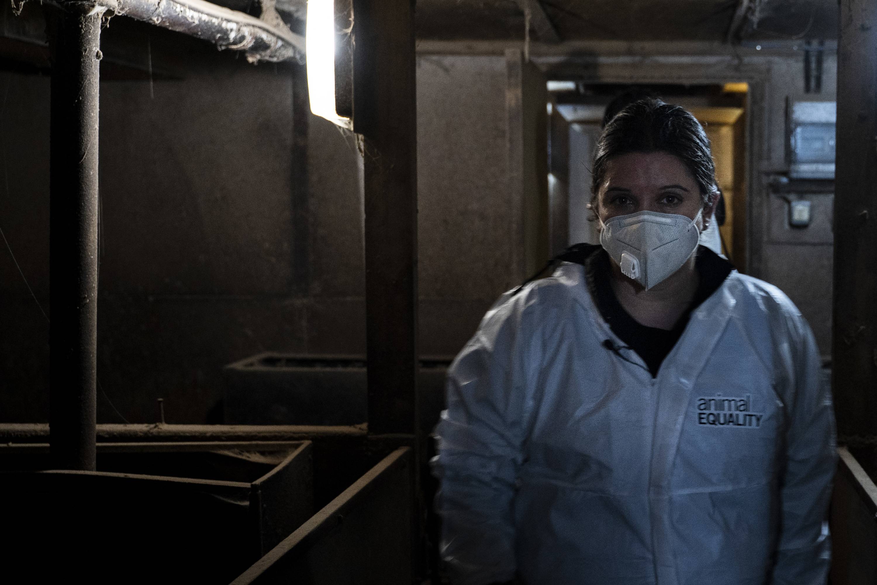 Sharon Núñez inside a pig farm