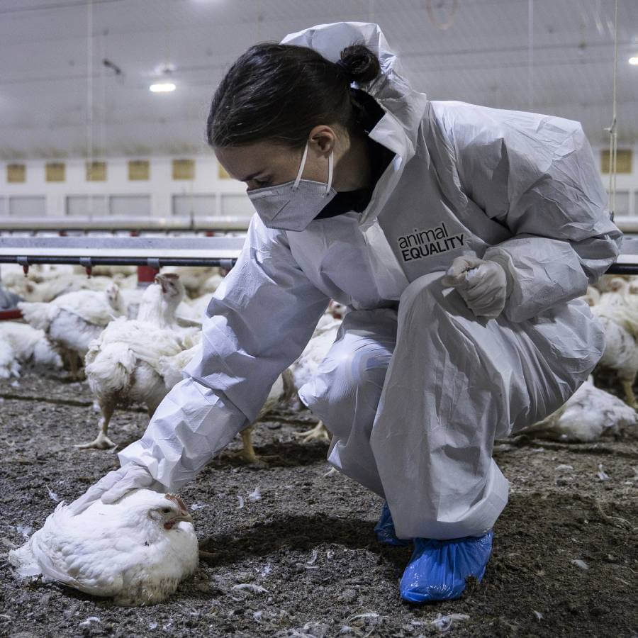 Human body,Glove,Safety glove,Sneakers,Bird,Soil,Sitting