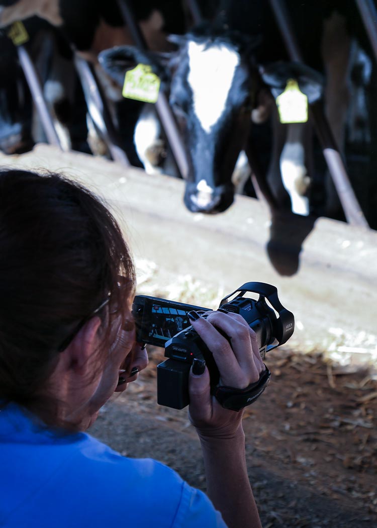 Blue,Black,Mammal,Camera lens,Camera,Sunglasses,Cool
