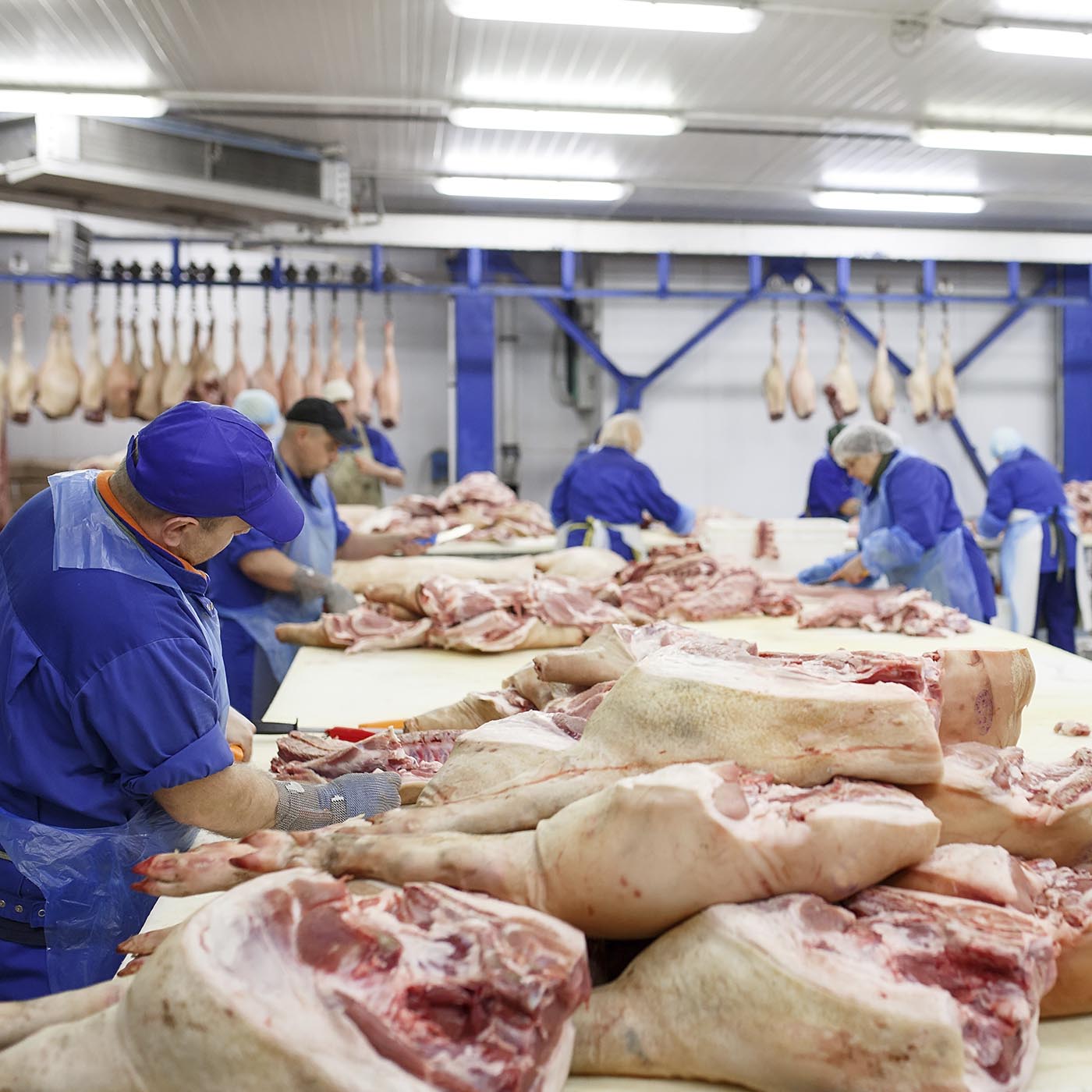 Food,Butcher,Cuisine,Cooking,Dish,Market,Retail