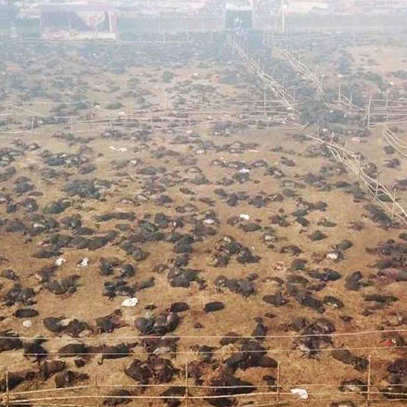Atmosphere,Ecoregion,Nature,Natural environment,Land lot,Atmospheric phenomenon,Urban design