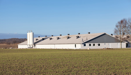 the exterior of a large white factory farm