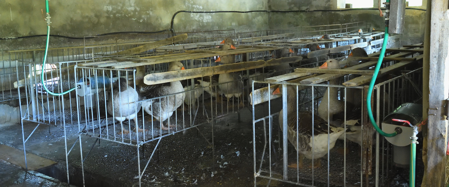 Metal,Steel,farmed animal,Machine,Factory,Beam,Building
