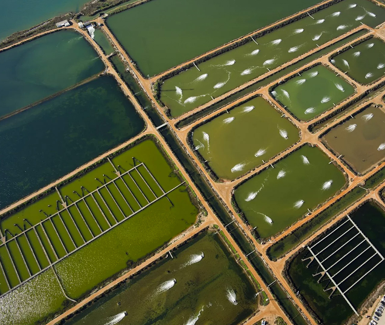 Fish farms