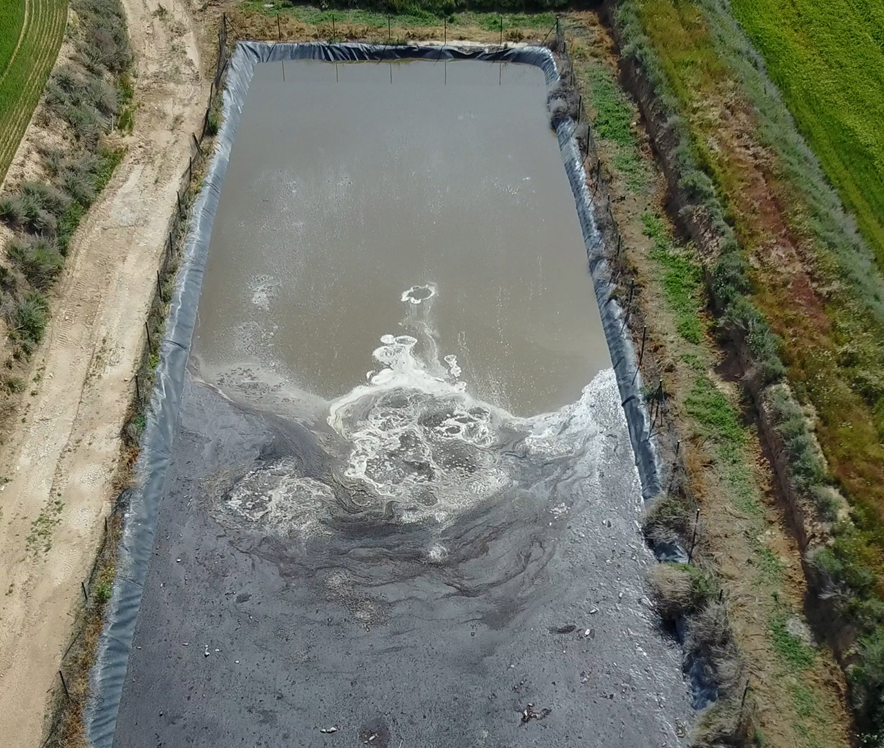 Lagoon of feces of a pig farm, contamination