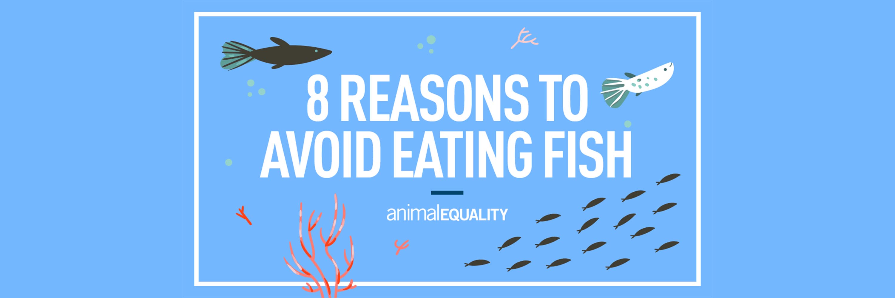 Azure,Fin,Rectangle,Fish,Illustration,Logo,Graphics