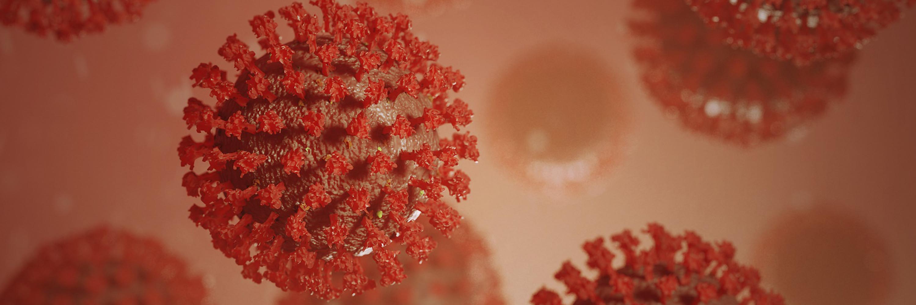 Plant,Tree,Textile,Petal,Pink,Event,Holiday