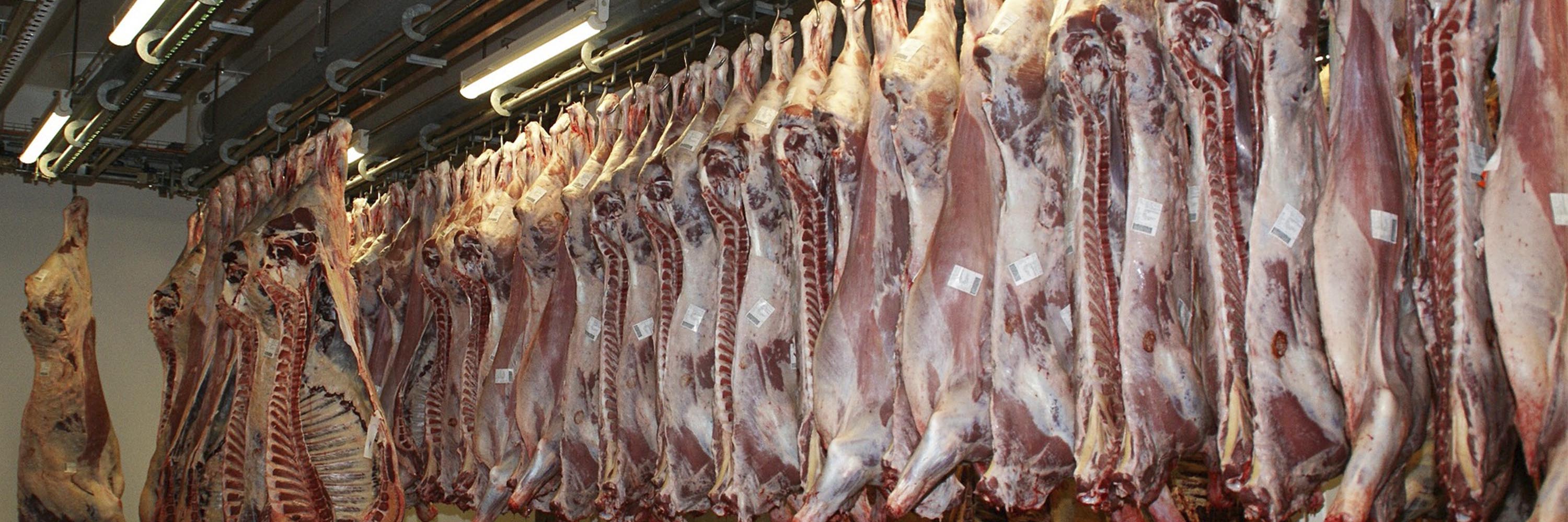 Food,Animal product,Ingredient,Curing,Cuisine,Seafood,Fish