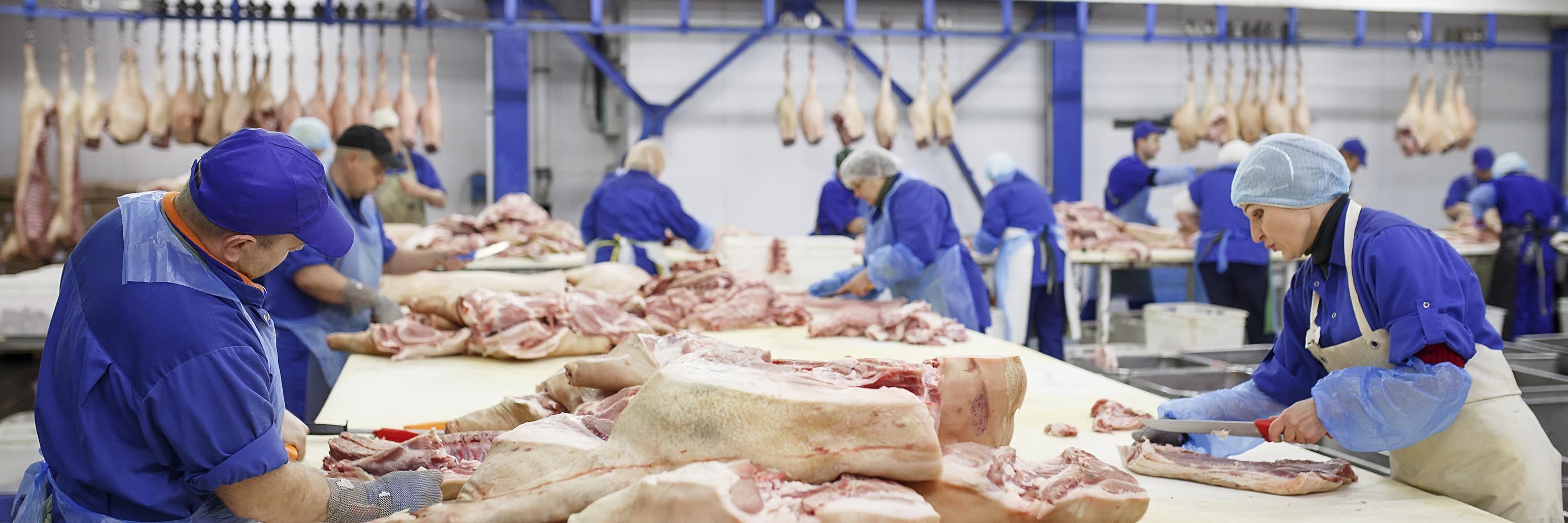 Food,Butcher,Cuisine,Dish,Seafood,Meat,Fish products