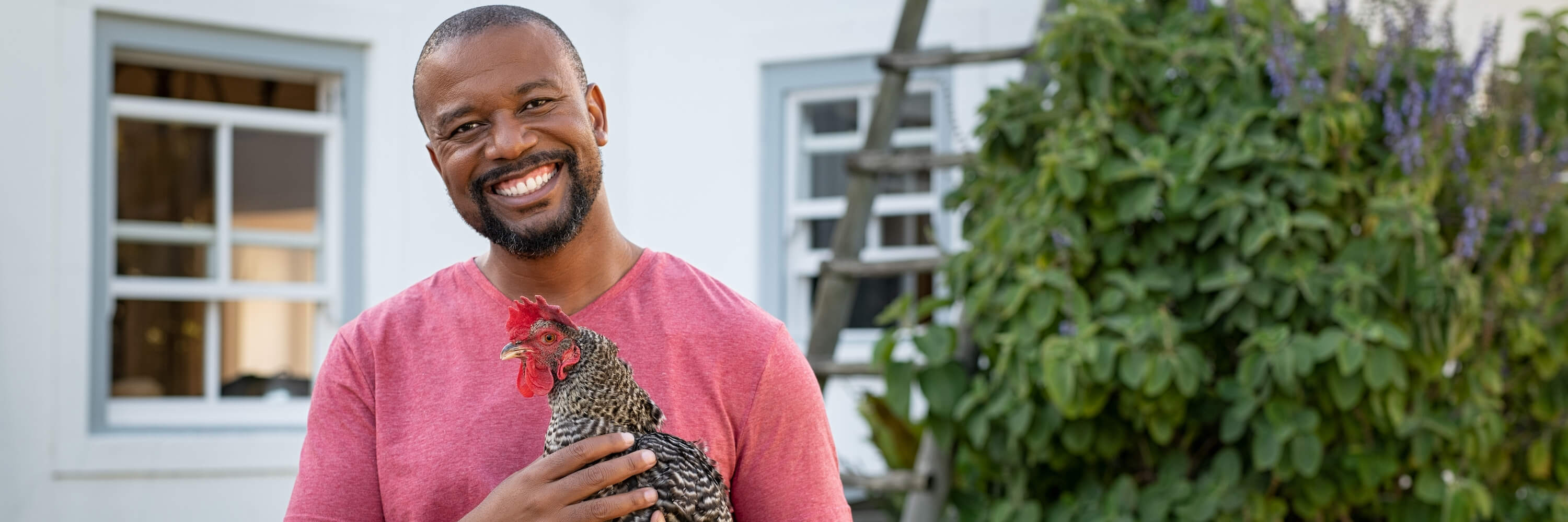 Smile,Bird,Plant,Beak,Feather