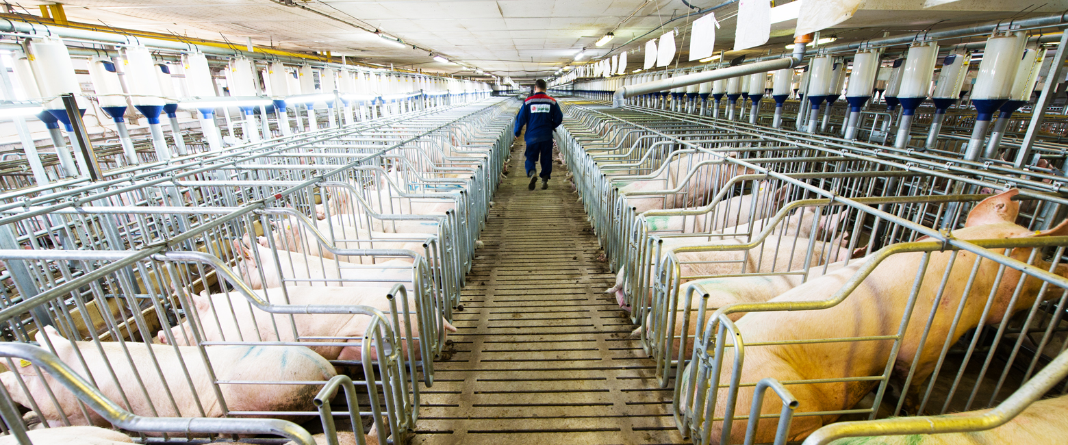 Mammal,Travel,Passenger,Leisure,Human settlement,Aisle,Public transport