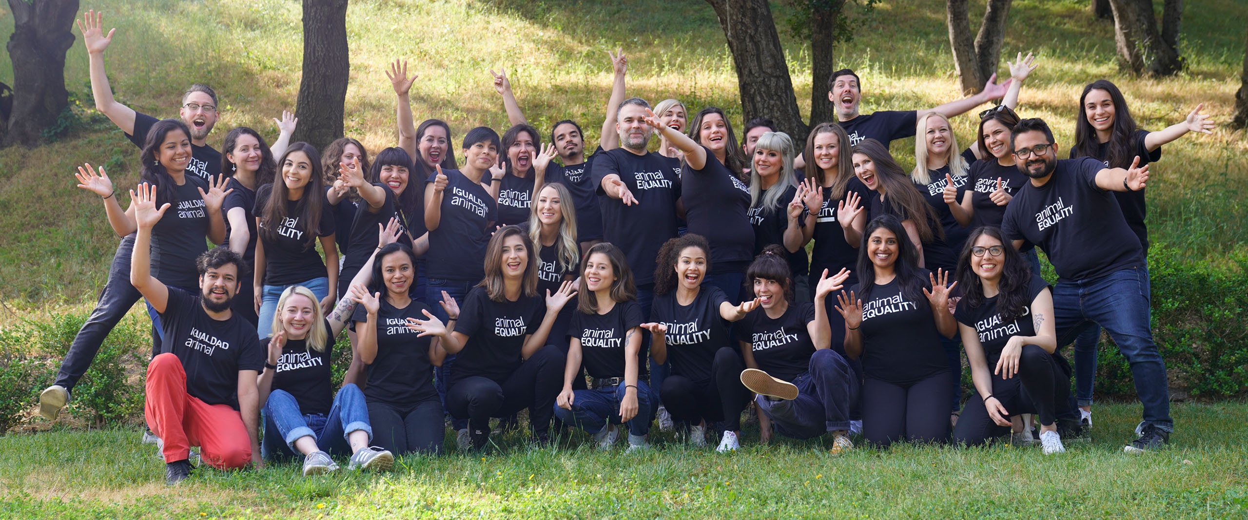 Smile,Plant,Grass,Leisure,Tree,Crew,Event