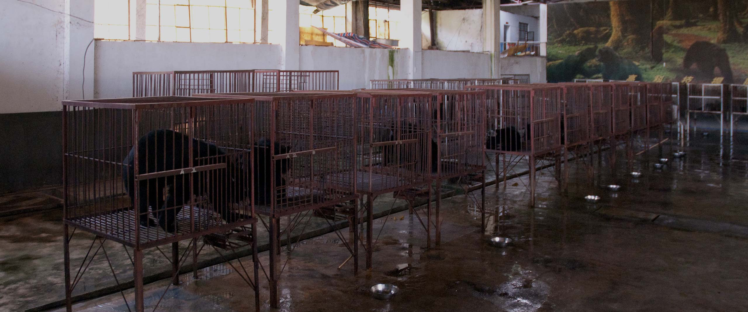 Water,Window,Floor,Fence,Metal,Building,Building material