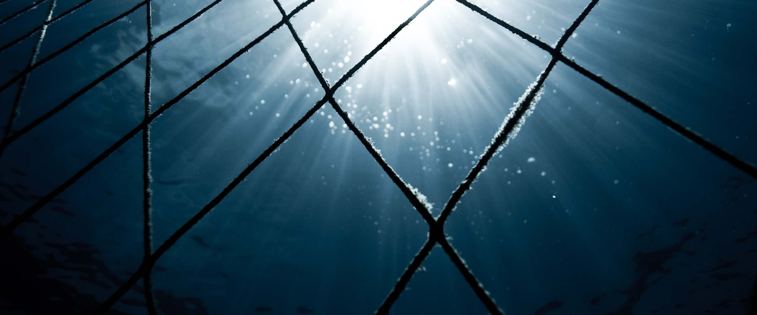 Water,Atmosphere,Azure,Sky,Sunlight,Electricity,Mesh