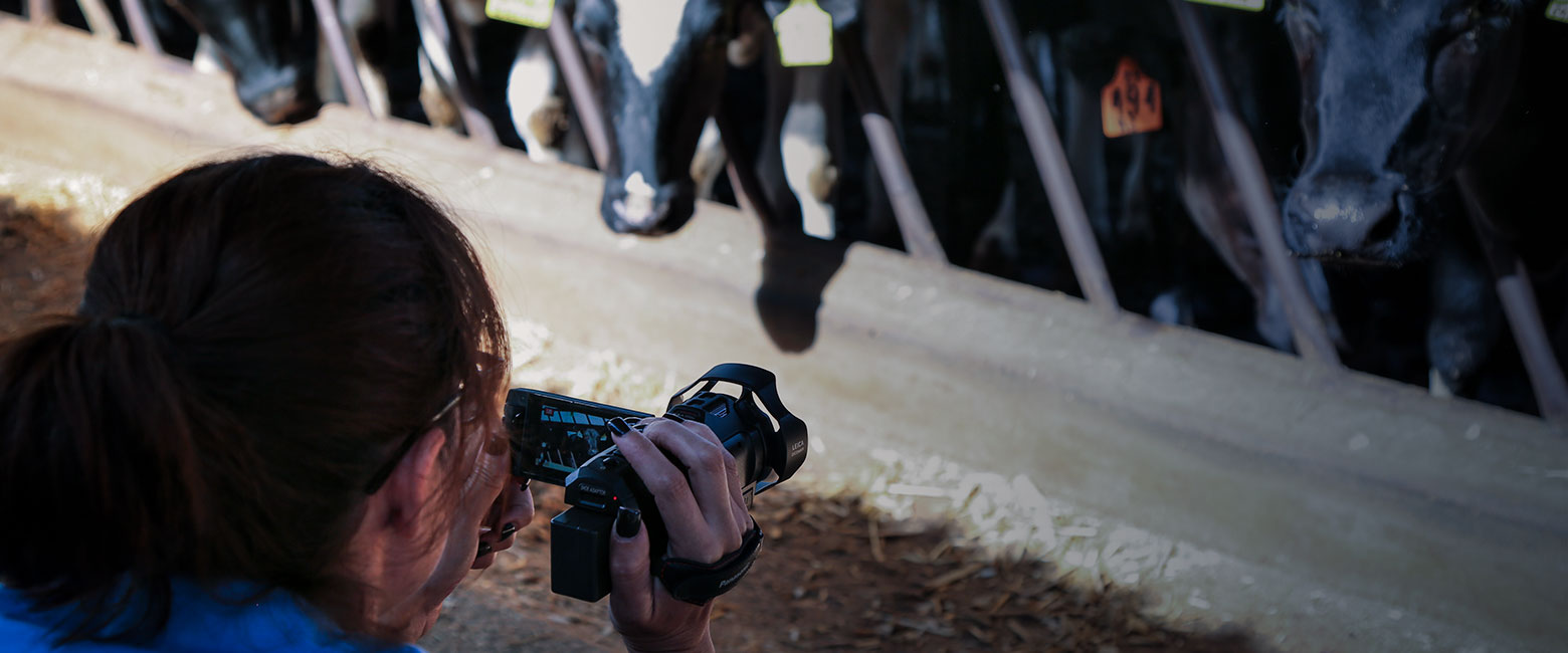 Photographer,Camera,Camera lens,Reflex camera,Digital camera,Digital SLR,Single-lens reflex camera