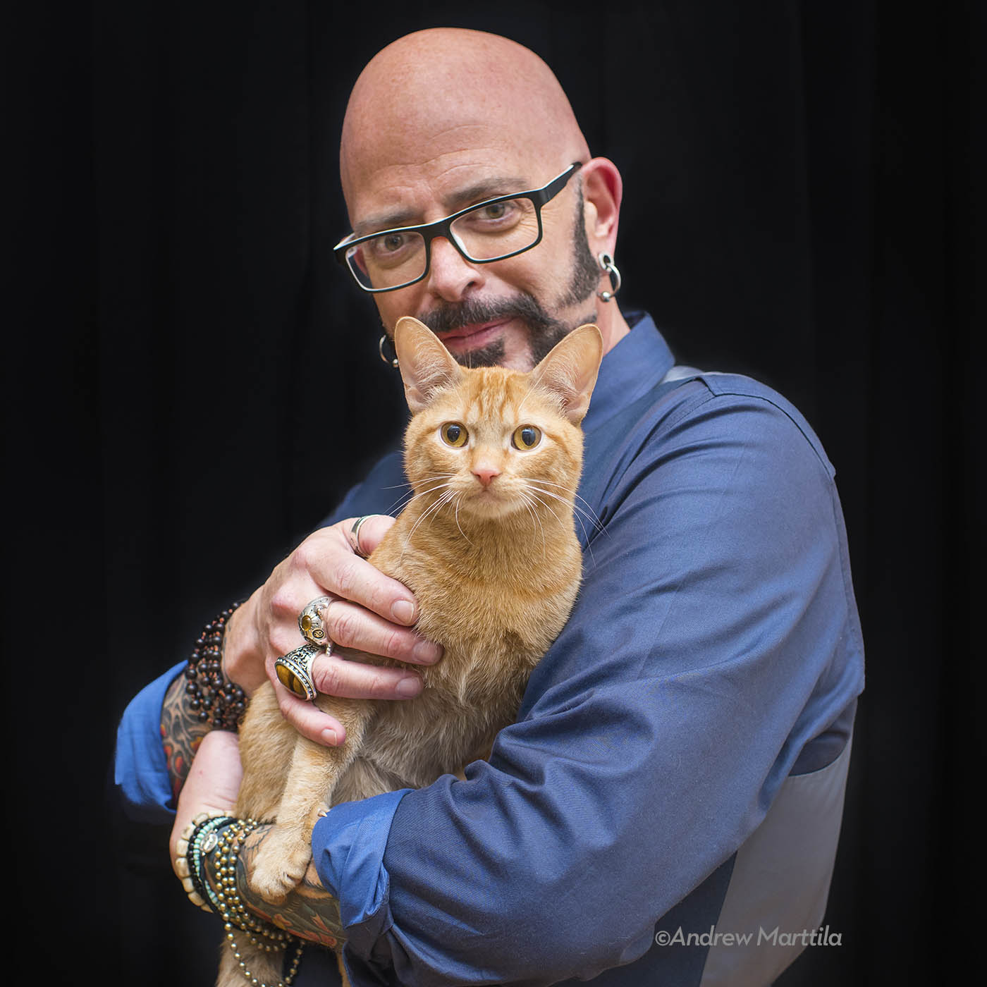 Glasses,Cat,Hand,Leg,Felidae,Human body,Small to medium-sized cats
