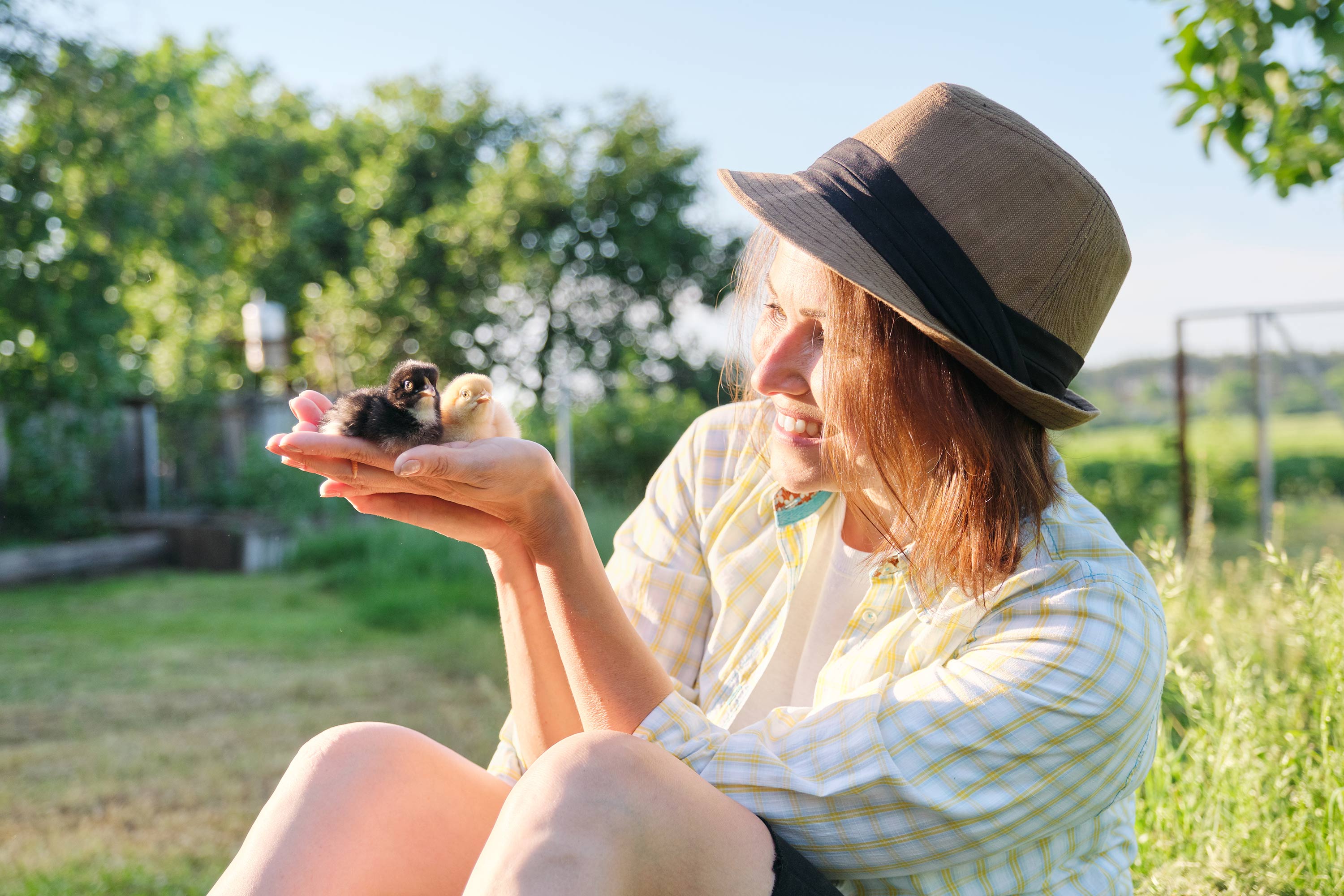 woman holding baby chicks