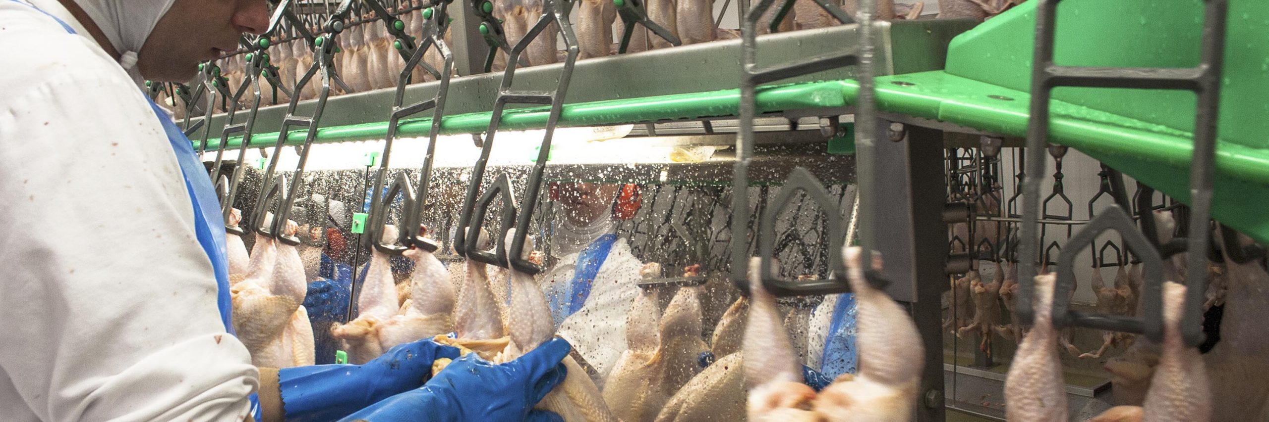 Blue,Seafood,Fish products,Fish,Snapshot,Meat,City