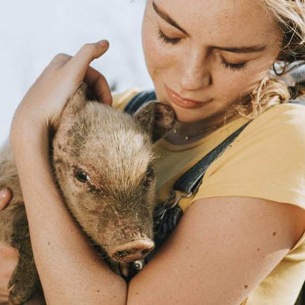 Whiskers,Snout,Rodent,farmed animal,Jewellery
