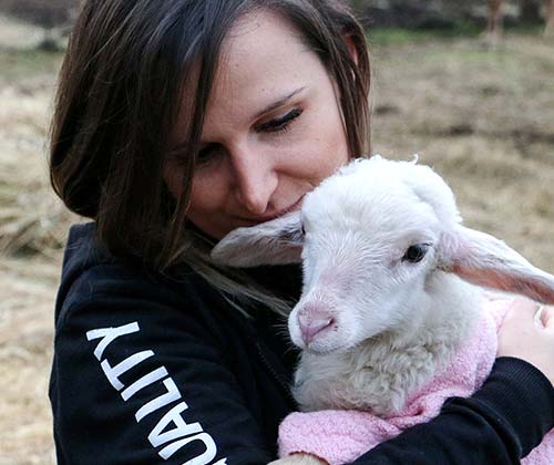 Face,Head,Goat,Grass