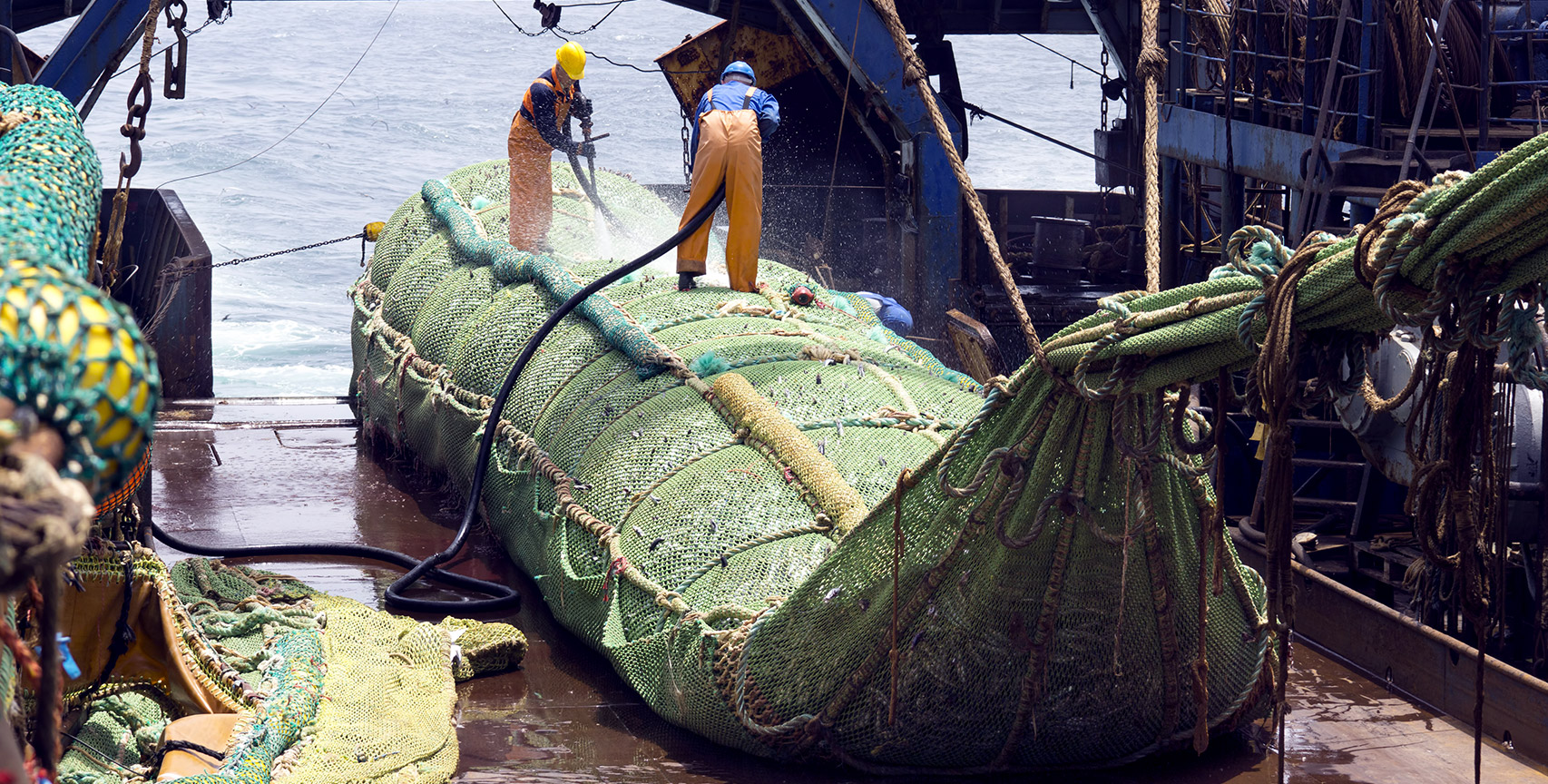 Fishing boat, trailing nets, fish