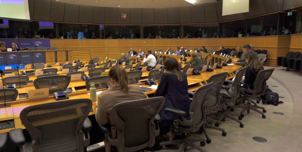 The EU Commission of Petitions meeting