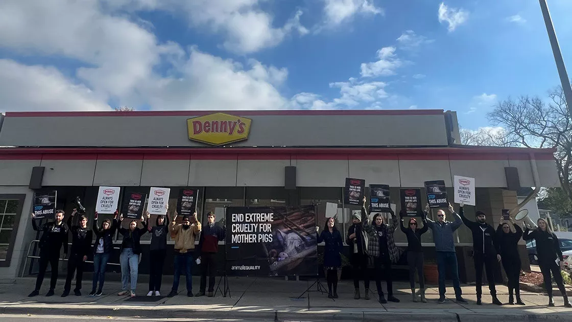 Dennys Protest in Chicago November