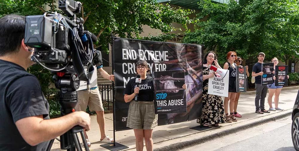 Chicago WSJ Protest