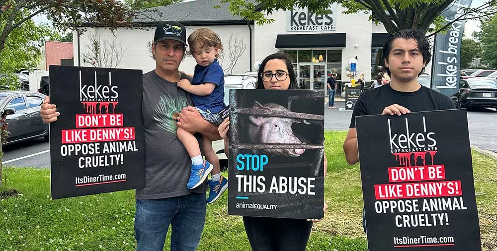 Gallatin, TN Keke's Cafe protest