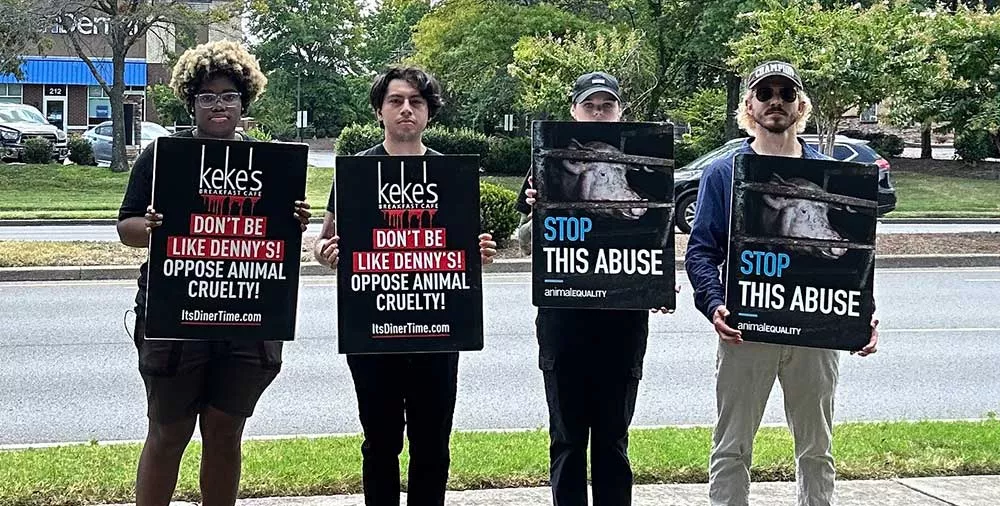 Hendersonville, Tennessee Keke's cafe protest