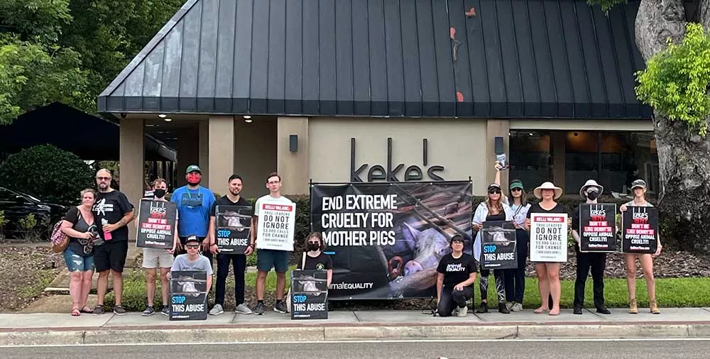 Winter Park, FL Keke's Cafe protest