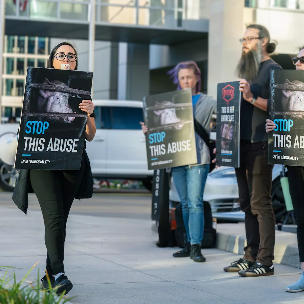 Animal Equality activist speaking during a protest