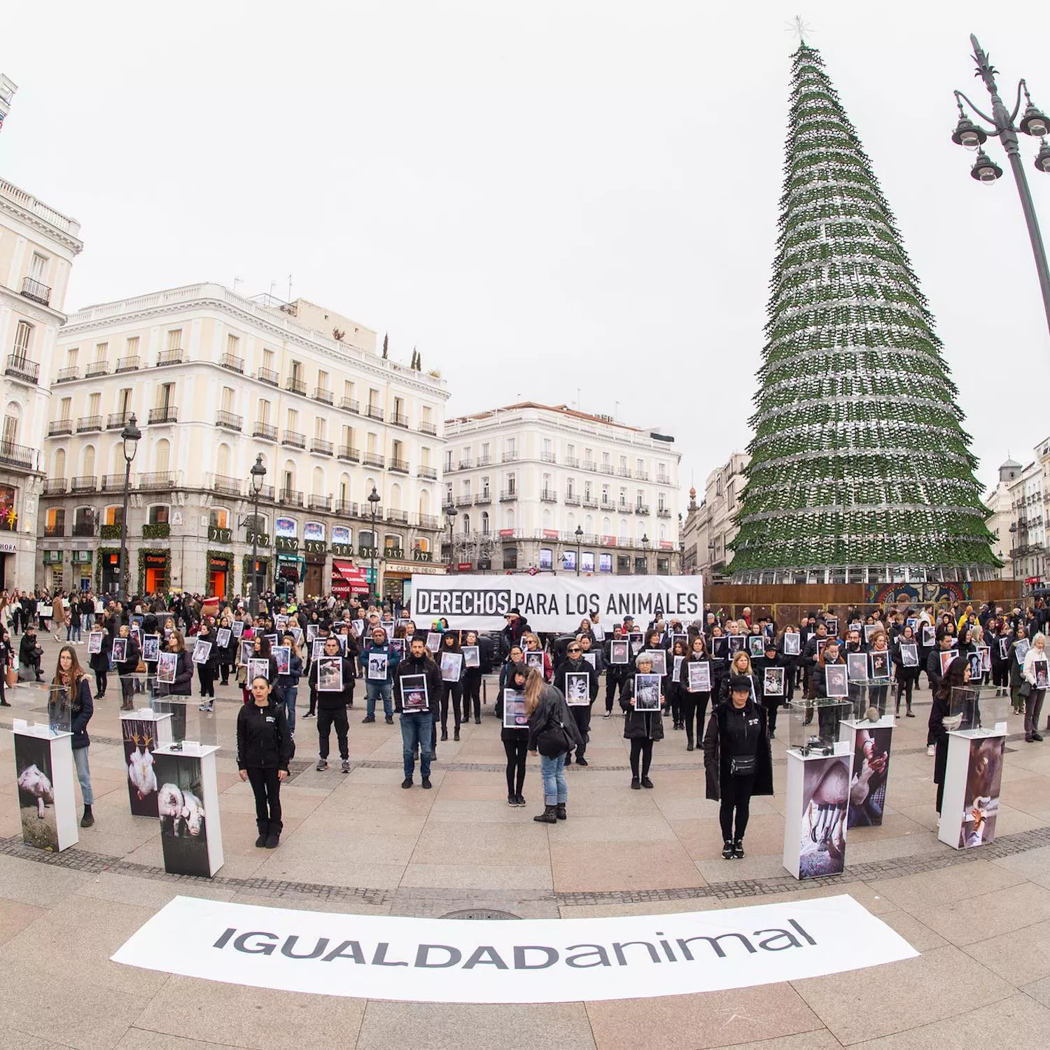 Volunteers with posters during the International Animal Rights Day protest in Spain