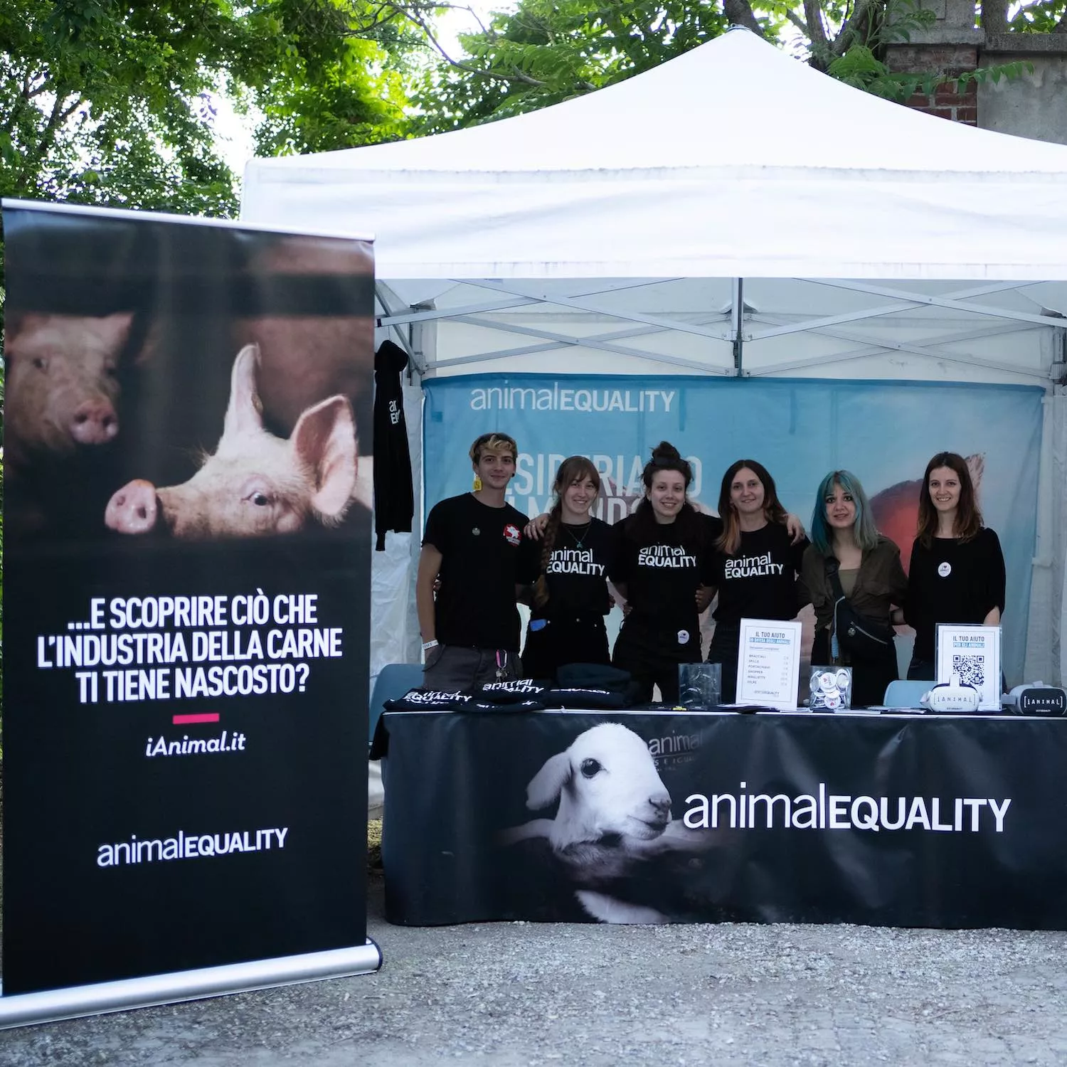 iAnimal at the iSkate & Surf Film Festival in Italy.
