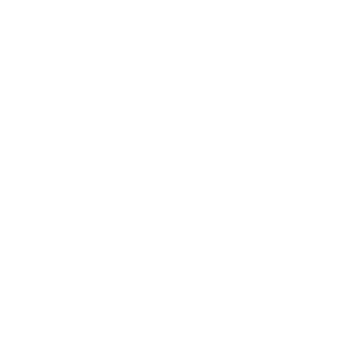 Logo The Times