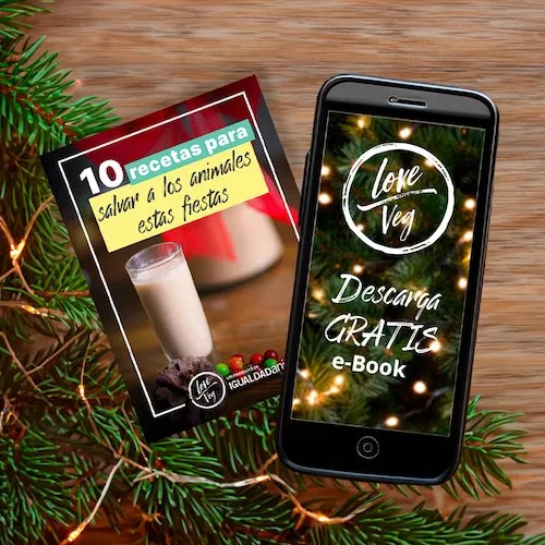 Love Veg recipe book and a phone