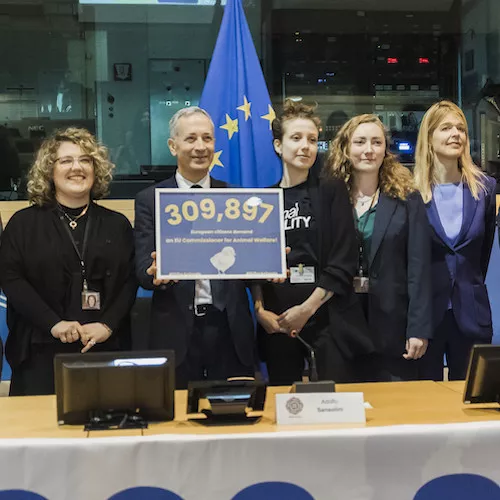 Delivering signatures asking for an EU Commissioner for Animal Welfare.