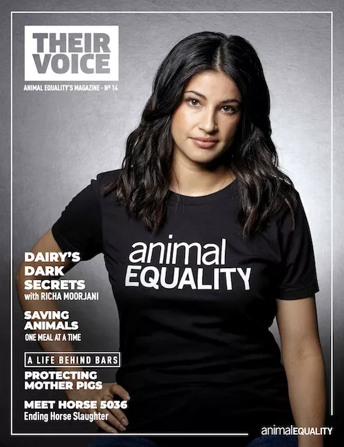 Cover of Their Voice - Animal Equality's Magazine number 14