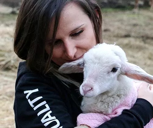 Face,Head,Goat,Grass