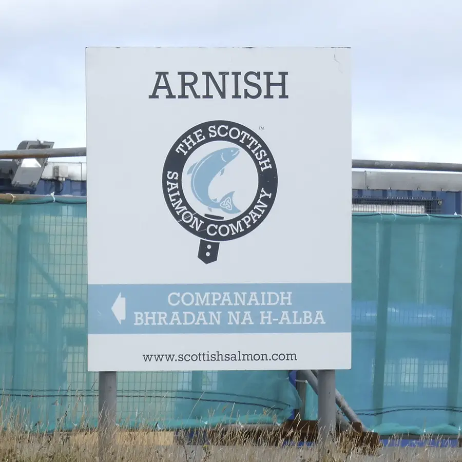 Sign of The Scotish Salmon fish company
